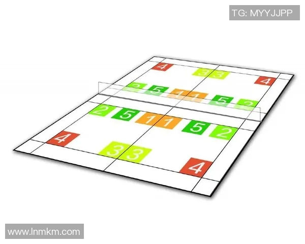 深圳羽毛球队整体压制战术解析与实战应用探讨